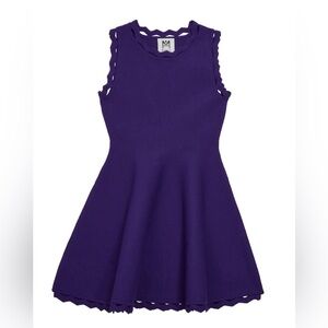 Milly Minis Purple Scalloped Trim Fit & Flare Girls Dress - Size 14/16